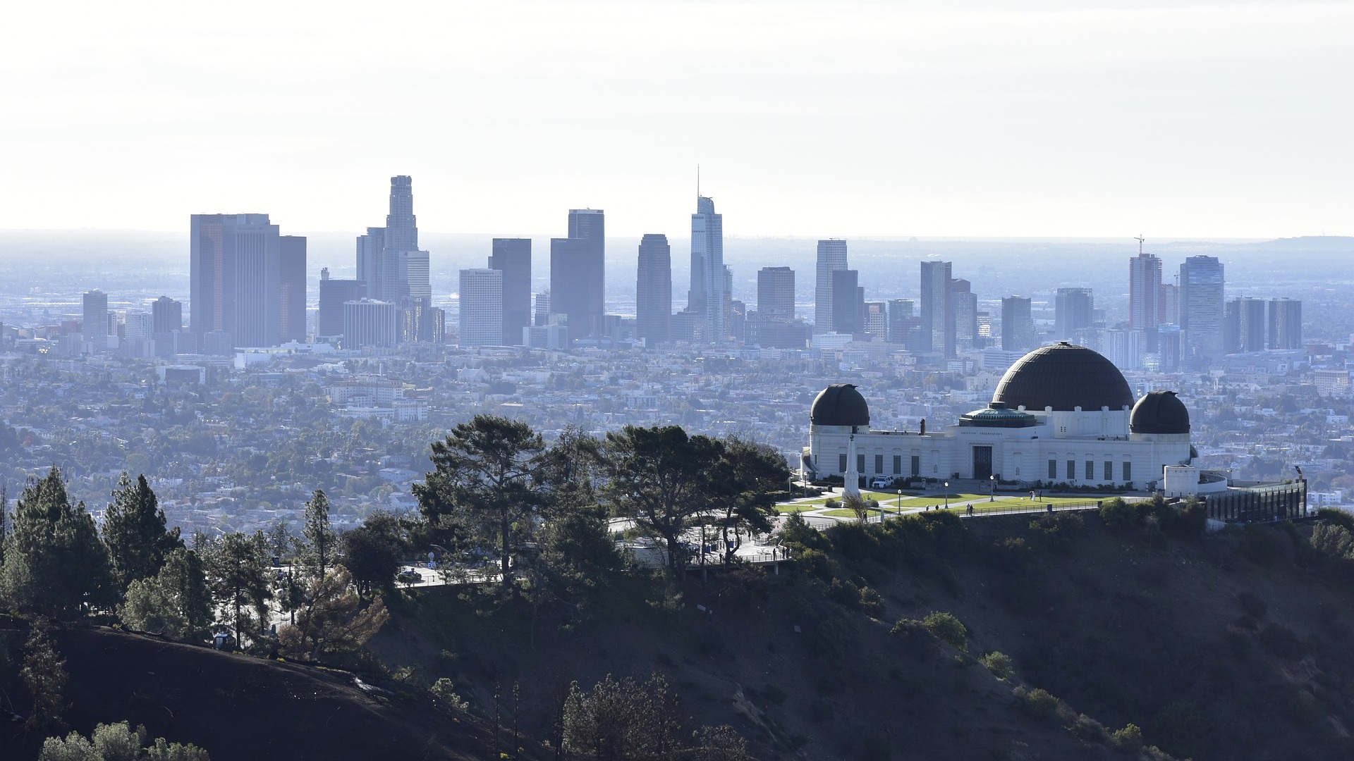 Lost angeles friendly. Лос Анджелес 1984 город. Лос Анджелес Америка 2010. Лос Анджелес 1991. 70е Лос Анджелес.